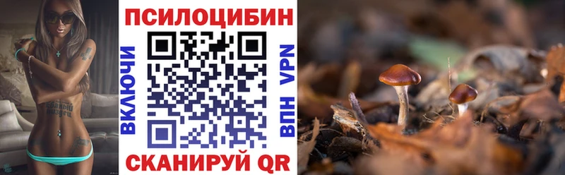 Купить где  Апатиты  Псилоцибиновые грибы GOLDEN TEACHER 
